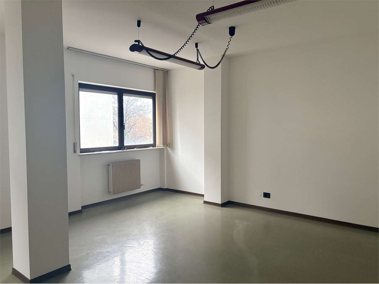 imm_33425-20260204165124-1280